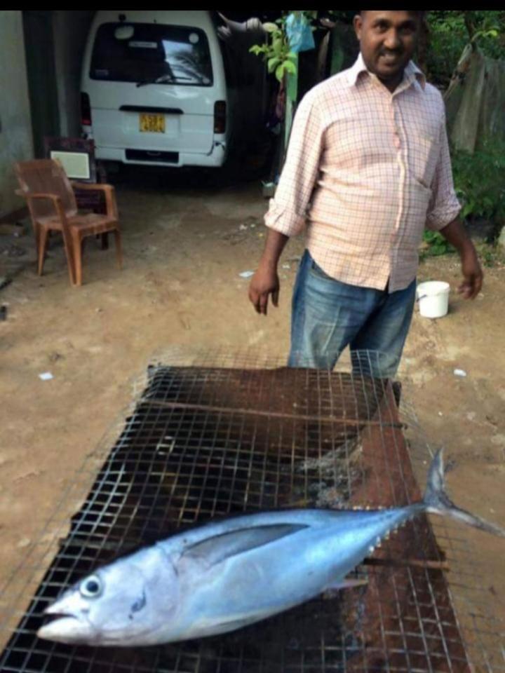 Sandaru Surffing Inn Weligama Luaran gambar