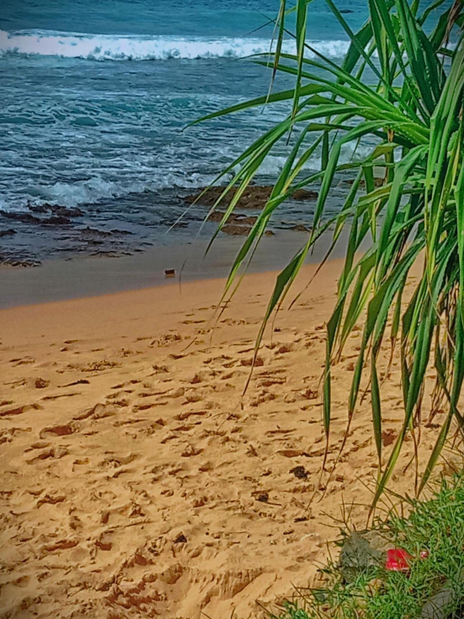 Sandaru Surffing Inn Weligama Luaran gambar